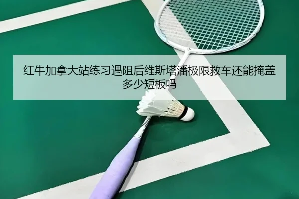 hong-niu-jia-na-da-zhan-lian-xi-yu-zu-hou-wei-si-ta-pan-ji-xian-jiu-che-hai-neng-yan-gai-duo-shao-duan-ban-ma-2-662.jpg
