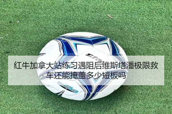 红牛加拿大站练习遇阻后维斯塔潘极限救车还能掩盖多少短板吗